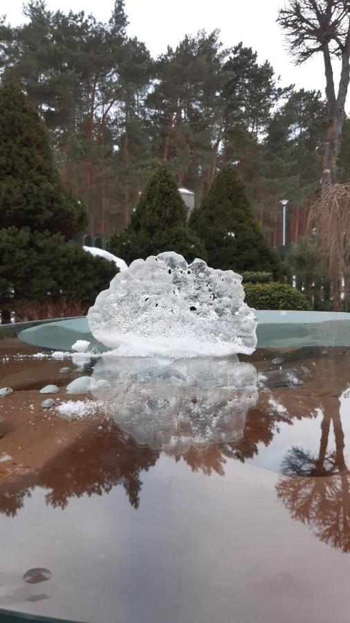 Kranto Vila Palanga Luaran gambar