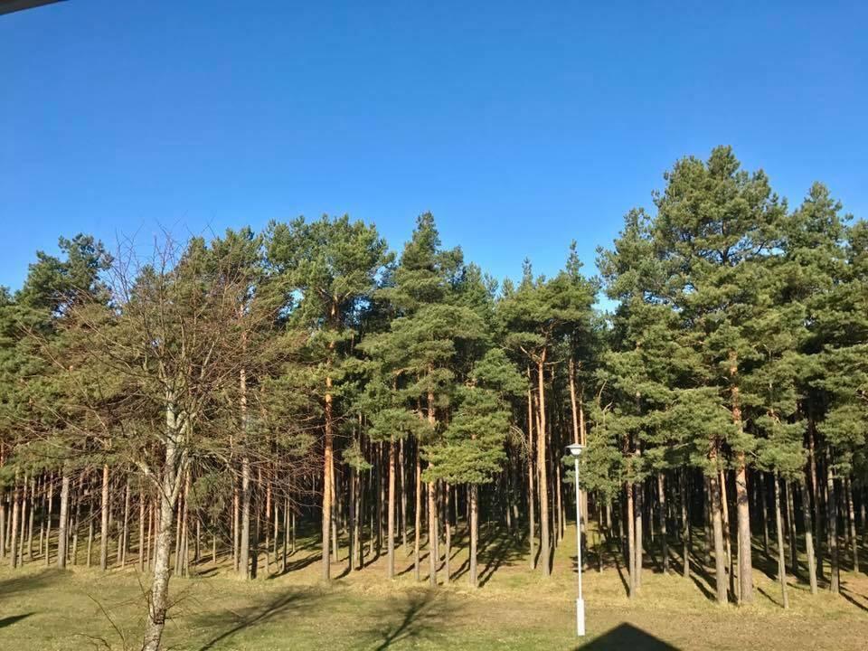 Kranto Vila Palanga Luaran gambar